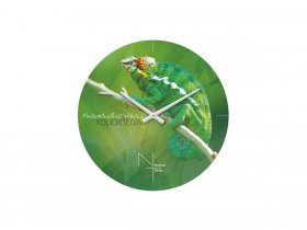 Часы настенные Nicole Time NT503 в Маслянино - maslyanino.mebel-nsk.ru | фото