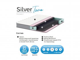 Матрас Silver Two в Маслянино - maslyanino.mebel-nsk.ru | фото